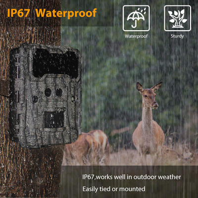 Ống kính kép 1080P Video 30MP Image Trail Forest Camera Hai cảm biến