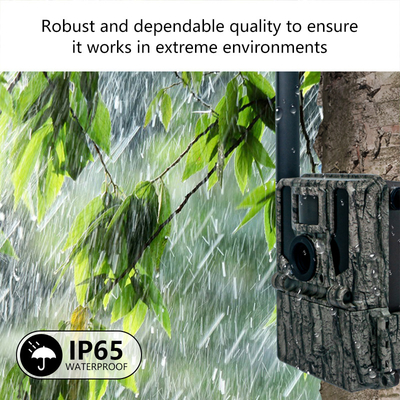 Keepguard 4G Camera đường mòn rừng động vật hoang dã di động với điều khiển từ xa APP 36MP 2K / 30fps