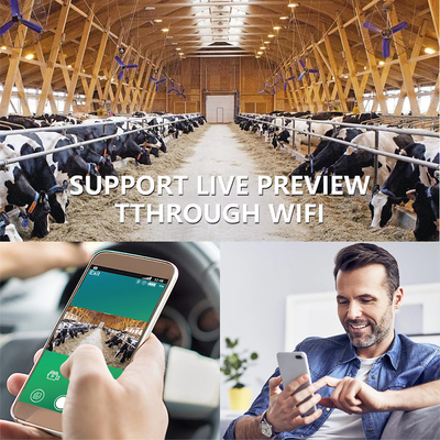 Máy ảnh săn thú ngoài trời lên đến 512GB Lưu trữ 32MP 4K ở tốc độ 30fps KW866 0.25s Tốc độ phản ứng Máy ảnh săn nai
