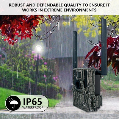 Ứng dụng điều khiển từ xa GPS Trail Camera