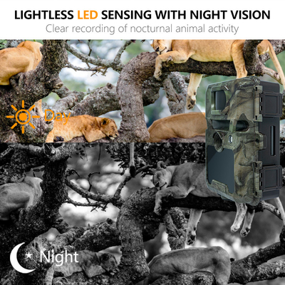 KW571 Nhà máy OEM ODM Mini Wildlife Scouting Timelapse Trail Camera IP67 No-Glow CMOS Sensor và SD Memory thị giác ban đêm
