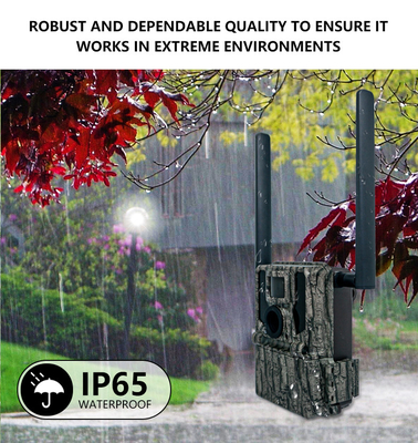 4G Wireless Trail Camera Hidden Camouflage KW897 với ăng-ten kép Night Vision 36MP 2K Video cho săn nai