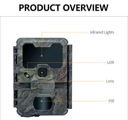 KW866 WIFI Chạy đường đi săn động vật hoang dã Camera chống nước IP67 OEM/ODM 512GB Lưu trữ Thẻ nhớ SD 32MP 4K dễ sử dụng