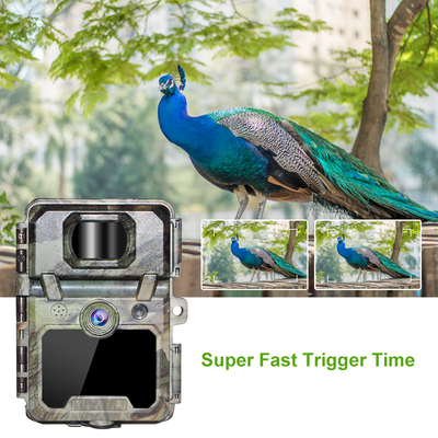 KW571 Nhà máy OEM ODM Mini Wildlife Scouting Timelapse Trail Camera IP67 No-Glow CMOS Sensor và SD Memory thị giác ban đêm