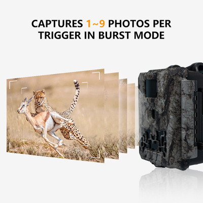 Máy ảnh đường mòn động vật hoang dã Không phát sáng 30MP Hình ảnh 1080P Video Không thấm nước IP67 lên đến 512GB Lưu trữ Giá cạnh tranh Máy ảnh săn