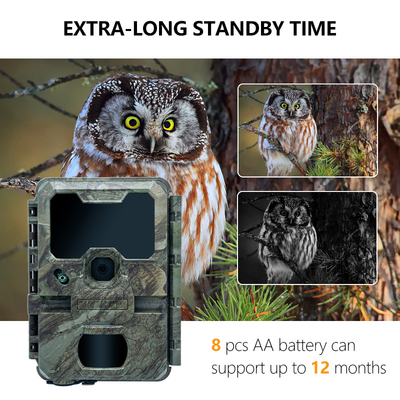 KW788 Trail Camera Camera săn bắn chống nước 4K 32MP Dễ dàng điều hướng sử dụng đơn giản mạnh mẽ dài wo