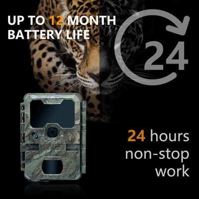 KW788 Trail Camera Camera săn bắn chống nước 4K 32MP Dễ dàng điều hướng sử dụng đơn giản mạnh mẽ dài wo