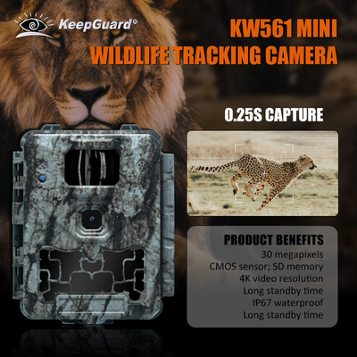 KW561 Trail Infra Cam Mini 30MP 0.25s Tốc độ 4K Độ phân giải video Bộ cảm biến CMOS chống nước SD Me