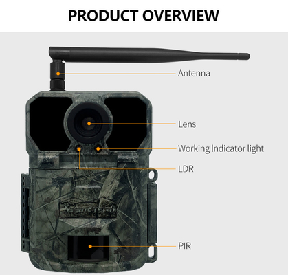 Camera thử nghiệm không dây 4G OEM / ODM KW895 30MP 0.25s tốc độ kích hoạt tích hợp trong thẻ SIM IP67