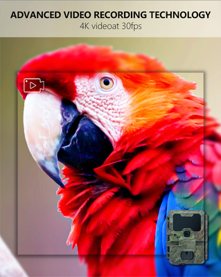 KW866 WIFI Hunting trail Camera chống nước IP67 OEM/ODM 512GB Storage SD Memory Card 32MP 4K