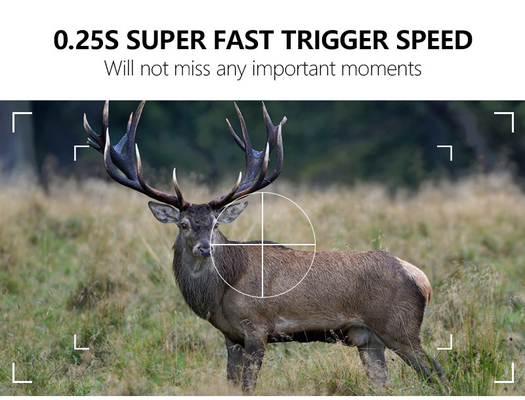 KW866 WIFI Hunting trail Camera chống nước IP67 OEM/ODM 512GB Storage SD Memory Card 32MP 4K