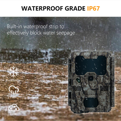 KW865 WIFI Camera ẩn ngoài trời Camera săn bắn không dây Trail Camera mà gửi hình ảnh cho bạn