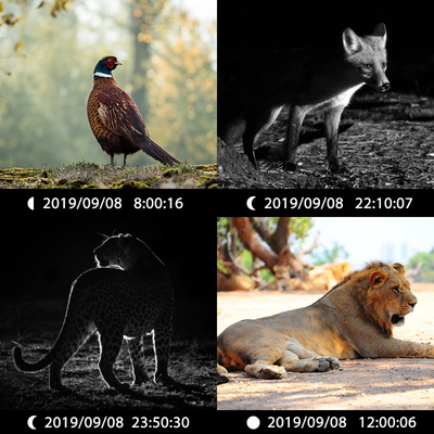 KW696 ngoài trời máy ảnh săn bắn ống kính kép 30MP không phát sáng đường mòn máy ảnh 1080p tầm nhìn ban đêm 512G cho