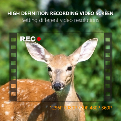 KW865 WIFI Camera ẩn chống nước IP67 20MP 0.6s tốc độ kích hoạt lên đến 512GB lưu trữ đường mòn thị giác ban đêm Camera