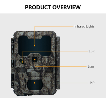 KW865 WIFI Camera ẩn chống nước IP67 20MP 0.6s tốc độ kích hoạt lên đến 512GB lưu trữ đường mòn thị giác ban đêm Camera