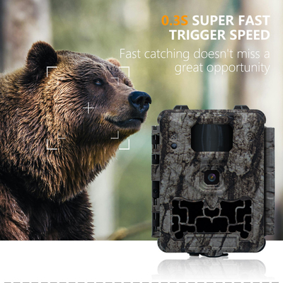Camera Trail KW561 30MP 0.25s kích hoạt Tốc độ 4K độ phân giải video Không thấm nước IP67 lên đến 512GB camera tính toán lưu trữ