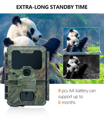 WIFI máy ảnh săn bắn KW866 chống nước IP67 OEM / ODM lên đến 512GB Cài lưu trữ thẻ nhớ SD 32MP máy ảnh động vật hoang dã 4K