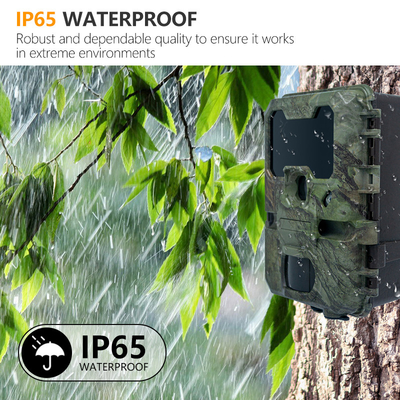 Máy ảnh săn bắn KW788 chống nước IP67 4K video 32MP Dễ dàng điều hướng sử dụng đơn giản