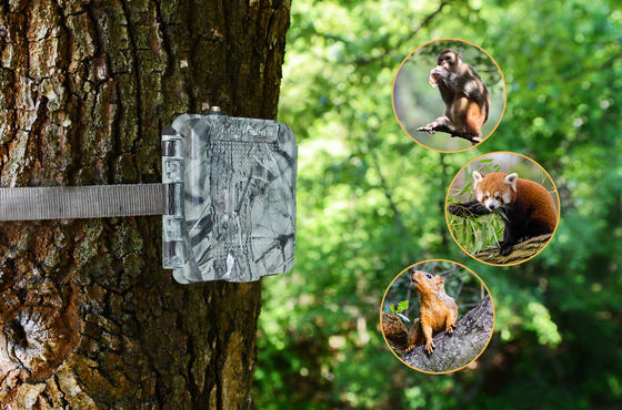 KG45 TRAMP ALARM TRAIL CAMERA để săn bắn hỗ trợ 1 ~ 5 số điện thoại di động người đam mê gọi cho gửi SMS phản hồi nhanh
