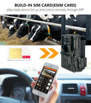 Camera săn bắn và theo dõi Bảng năng lượng mặt trời 4G Camera không dây KW897 với ăng-ten kép 100ft Night Range 36MP 2K Video ở 30fps