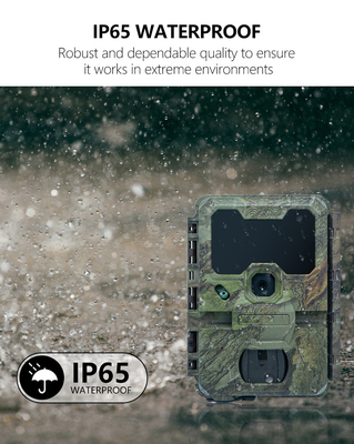 Camera săn bắn WIFI mới nhất KW866 chống nước IP67 512GB Lưu trữ 32MP video 4K 0.25 tốc độ kích hoạt để săn hươu