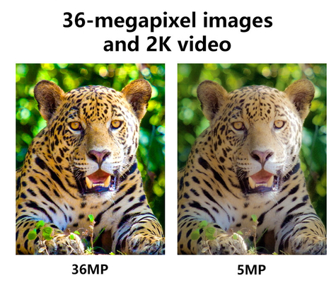Camera theo dõi không dây 4g cao cấp 2024 KW897 mới nhất với ăng-ten kép 36MP 2K 0.1s tốc độ kích hoạt với thị giác ban đêm cho cho nghiên cứu động vật hoang dã