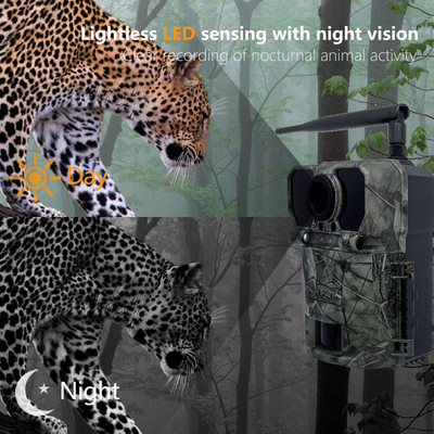 Camera theo dõi săn bắn 4G KW895 với APP 2K FHD Video hình ảnh 30MP chống nước IP67 lên đến 512GB lưu trữ cho nghiên cứu động vật hoang dã