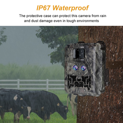 Máy ảnh ẩn với ống kính kép KW591 chống nước IP67 30MP 1080P 0.4s Trigger speed night vision lên đến 512GB cho nghiên cứu động vật hoang dã