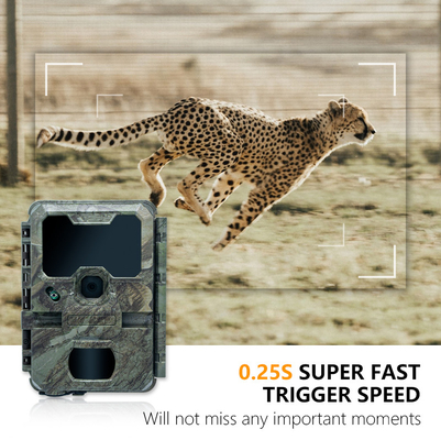 Camera săn bắn tầm nhìn ban đêm với kích thước nhỏ KW788 0.1s kích hoạt hình ảnh sắc nét 32MP video 4K chống nước IP67 cho săn bắn