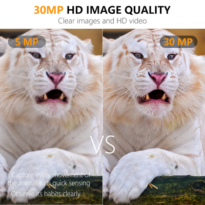 Máy ảnh săn bắn hiệu quả về chi phí kích thước nhỏ KW561 với 30MP/1080P chống nước IP67 lên đến 512GB 0.3s kích hoạt để săn thú hoang dã