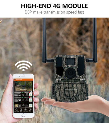GMS cao cấp cho 4G Camera săn bắn KW897 với ăng-ten kép 100ft tầm nhìn ban đêm 36MP video 2K cho nghiên cứu động vật hoang dã