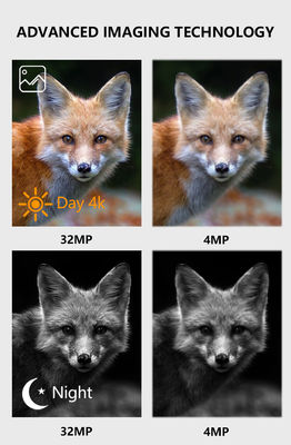 Máy ảnh Bluetooth IP67 chống nước