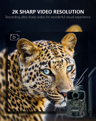 Camera theo dõi 4G chống nước IP65