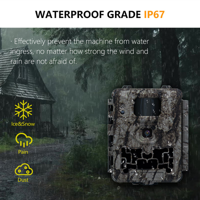 30MP 1080P Mini Trail Camera Keepguard KW561 IP67 Giá cạnh tranh Đèn IR Không phát sáng Máy ảnh động vật hoang dã