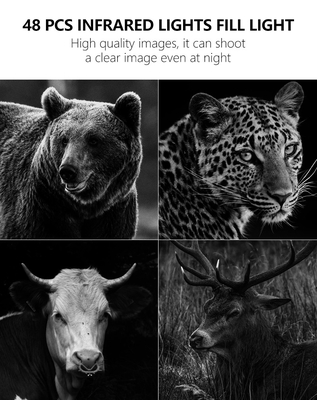 Game&trail Camera 4G KW886 với ăng ten Chi phí hiệu quả Camera săn bắn 24MP 1080P Night Vision 0.1s Response Time Game Camera