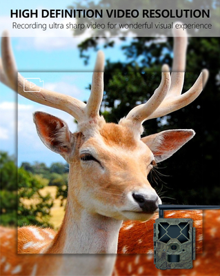 Game&trail Camera 4G KW886 với ăng ten Chi phí hiệu quả Camera săn bắn 24MP 1080P Night Vision 0.1s Response Time Game Camera