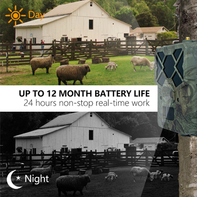 Game&trail Camera 4G KW886 với ăng ten Chi phí hiệu quả Camera săn bắn 24MP 1080P Night Vision 0.1s Response Time Game Camera