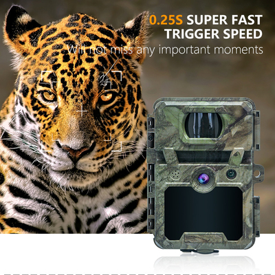 Máy ảnh trinh sát động vật hoang dã không dây mini với bộ ngụy trang 30MP IP66 chống nước và chức năng PIR cho săn bắn và an ninh