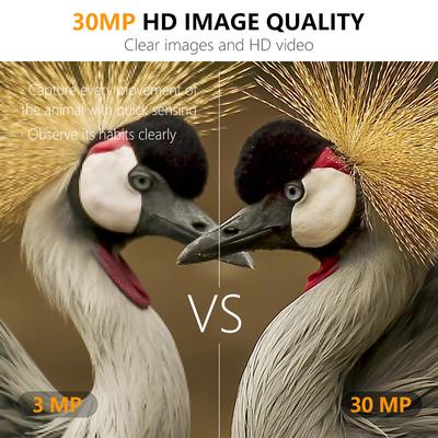 Máy ảnh trinh sát động vật hoang dã không dây mini với bộ ngụy trang 30MP IP66 chống nước và chức năng PIR cho săn bắn và an ninh