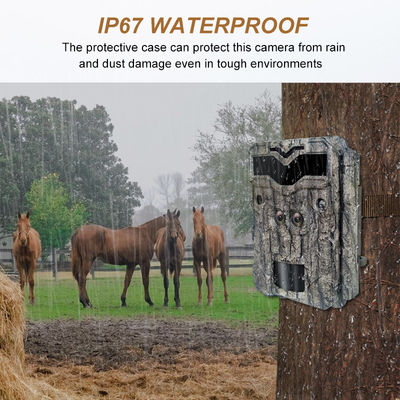 Máy ảnh săn bắn HD Keepguard ống kính kép 32MP Không phát sáng LED Trail Camera 1080P Tầm nhìn ban đêm Camera trò chơi săn bắn cho động vật hoang dã