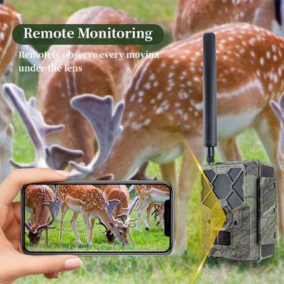 Camera săn bắn 4G điều khiển từ xa KW886 với khả năng quay video 1080p và tầm nhìn ban đêm 120ft