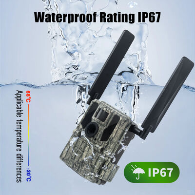 Camera 4G Trail với khả năng xem từ xa và vỏ cứng được thiết kế để chụp hình ảnh chi tiết ở các địa điểm xa xôi