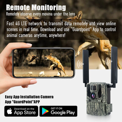 Camera 4G Trail với khả năng xem từ xa và vỏ cứng được thiết kế để chụp hình ảnh chi tiết ở các địa điểm xa xôi