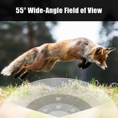 Camera 4G Trail với khả năng xem từ xa và vỏ cứng được thiết kế để chụp hình ảnh chi tiết ở các địa điểm xa xôi
