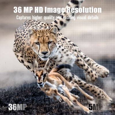 Camera 4G Trail với khả năng xem từ xa và vỏ cứng được thiết kế để chụp hình ảnh chi tiết ở các địa điểm xa xôi