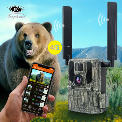 Camera 4G Trail với khả năng xem từ xa và vỏ cứng được thiết kế để chụp hình ảnh chi tiết ở các địa điểm xa xôi