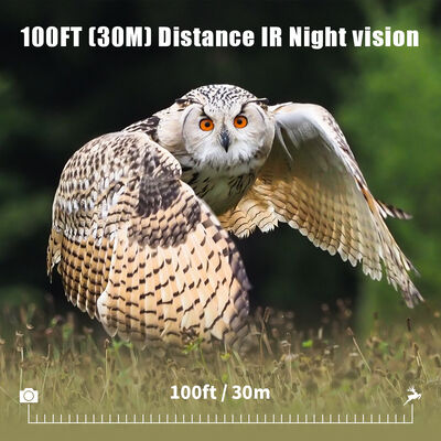 Camera 4G Trail với khả năng xem từ xa và vỏ cứng được thiết kế để chụp hình ảnh chi tiết ở các địa điểm xa xôi