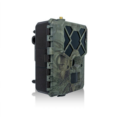 Time Lapse Mode 4G Hunting Camera 1080p Full HD Video Trail Camera thích hợp cho Remote Wildlife Observation and Security