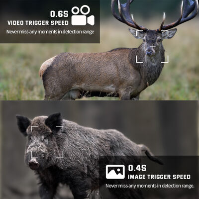 Máy ảnh săn bắn HD bền bỉ cung cấp tuổi thọ pin dài thị giác đêm hồng ngoại và phát hiện chuyển động cho giám sát ngoài trời