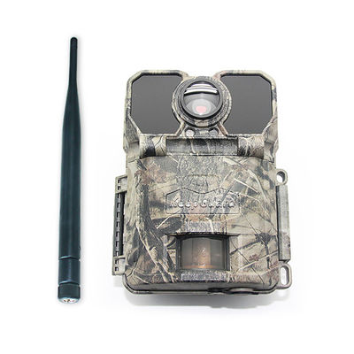 4G ngoài trời không dây GPRS GSM miễn phí APP điều khiển từ xa Trail Camera